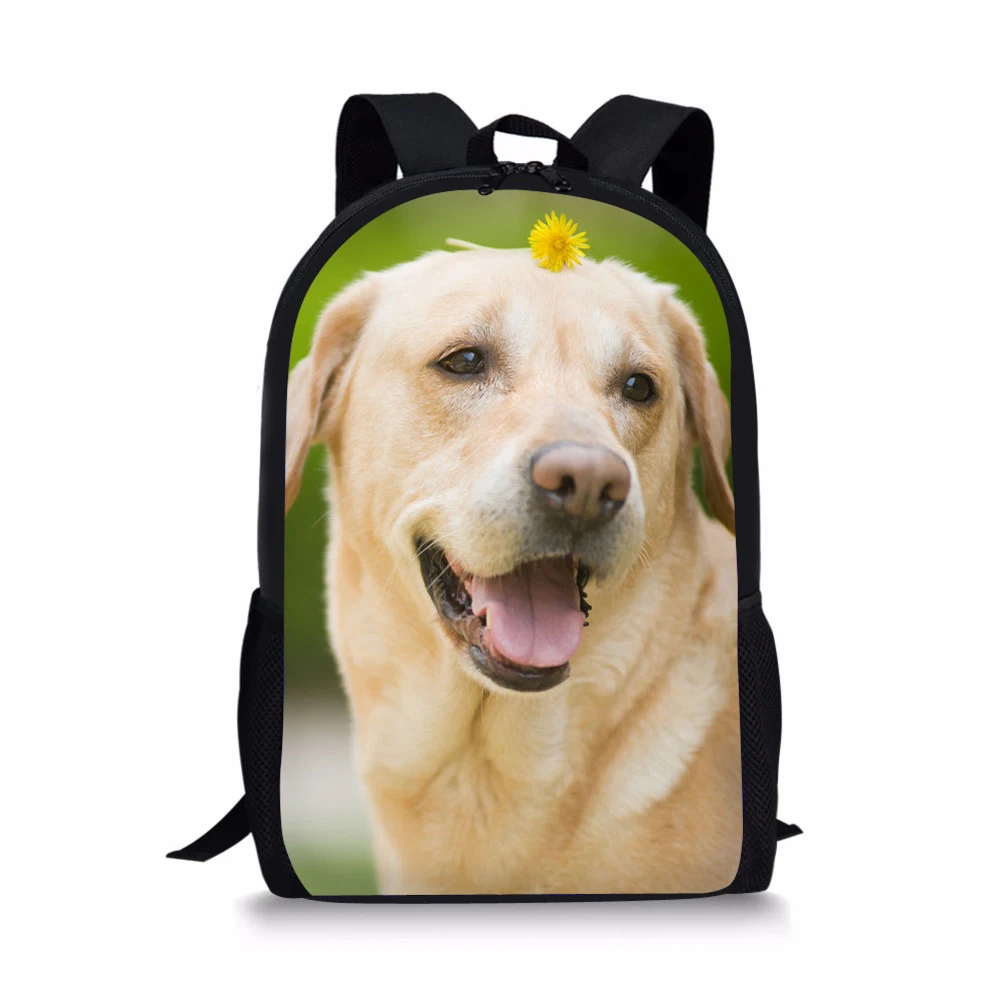 

Orthopedic Cute Schoolbag Labrador Retriever Printing Kids School Bag for Boys Bagpack BookBag 16 Inch Customize Own