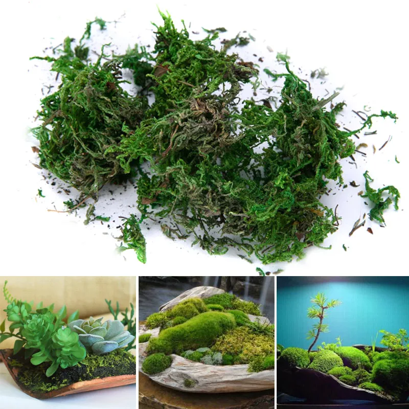 

Dried Artificial Moss Lining Decor Flower Hanging Baskets Gardening Crafts MJJ88