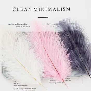 

2pcs Natural Ostrich Feathers White Pink Blue Photography Accessories DIY Decoration for Bracelet Ring Jewelry Lipstick Cosmetic