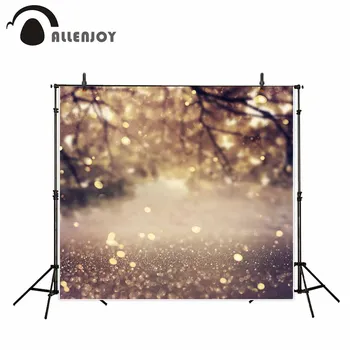 

Allenjoy vinyl photographic background Detail focus spot bokeh bokeh child Photographic background for study Photo background