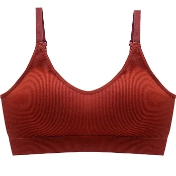 Wine red DeRuiLaDy sexy push up braновый жилет тонкое нижнее белье сексуальное нижнее белье мягкие бюстгальтеры обернутые грудь для женщин Бралетт бесшовный нить для девушек женские бюстгальтеры лифчик бесшовный бюстгалтер - Цвет: Wine red