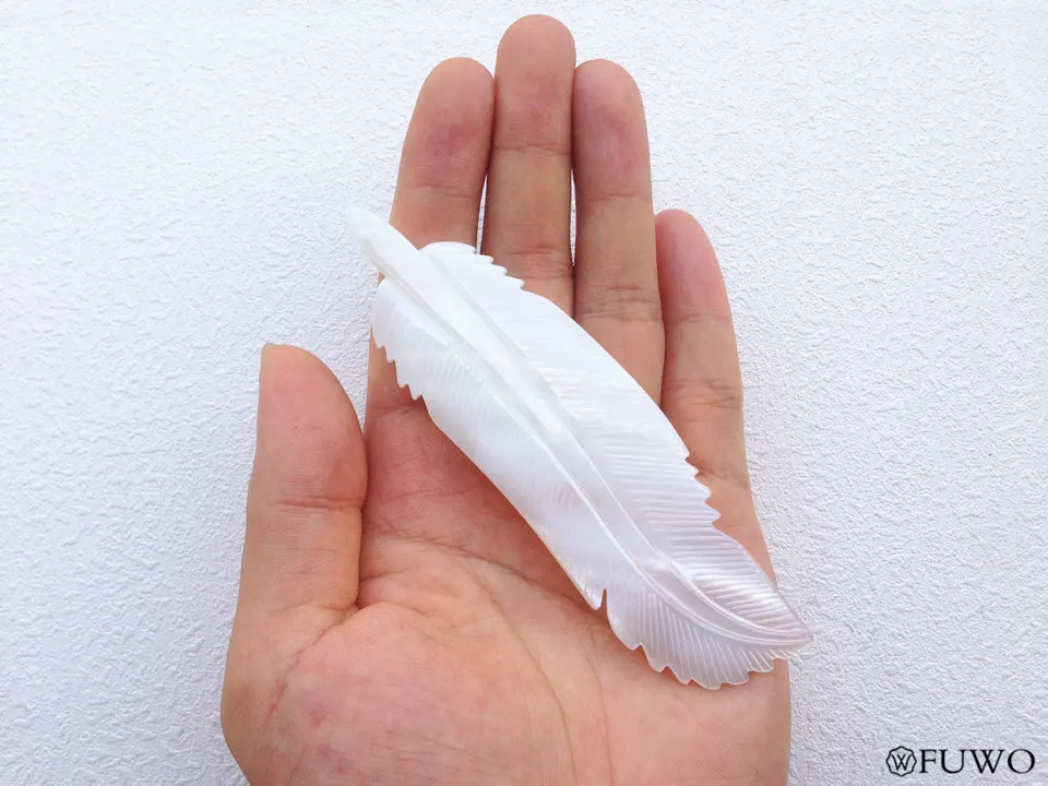 Large Size Feather Shell 12