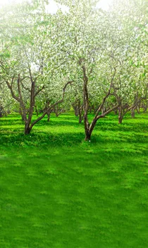 

LIFE MAGIC BOX Spring 150x200cm Custom Photo Backdrops Backdrop Shop backdrop scenery forest photo backdrop YJ-54