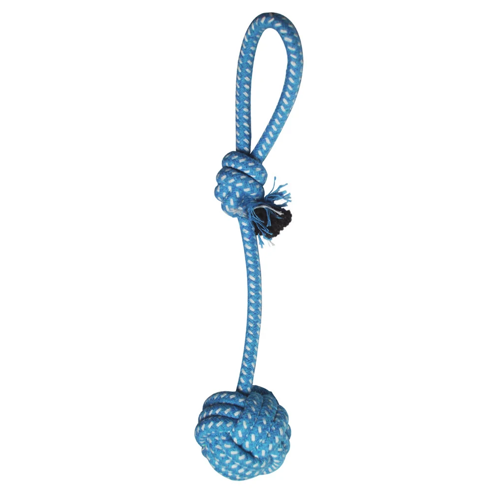 DT019-B