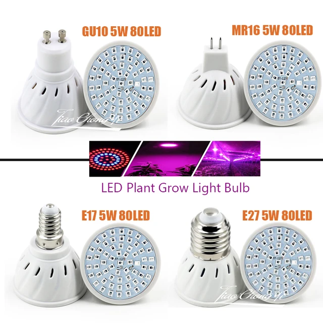 E17 2024 grow light