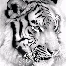 Горячая белый с принтом в виде головы тигра DIY Цифровая картина маслом по номерам ручная роспись маслом 40x50 см без рамки