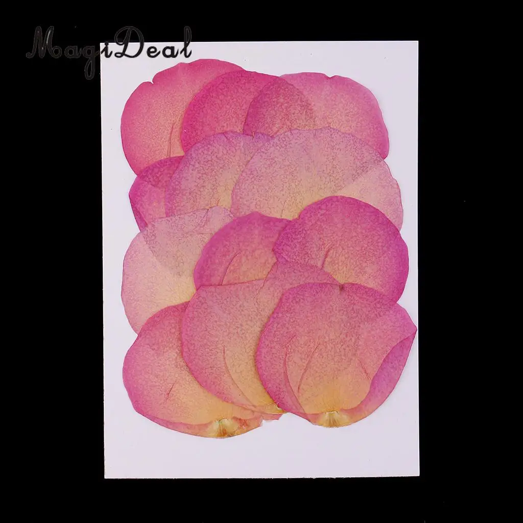12 Pieces Pink Natural Real Dried Rose Flower Petals for DIY Wedding Christmas Card Making Phone Case Decoration