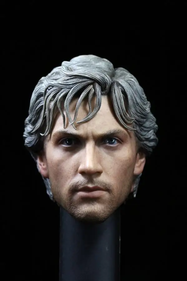 

Custom 1/6 QuickSilver Aaron Johnson Head Sculpt For Hot Toys Figure Body