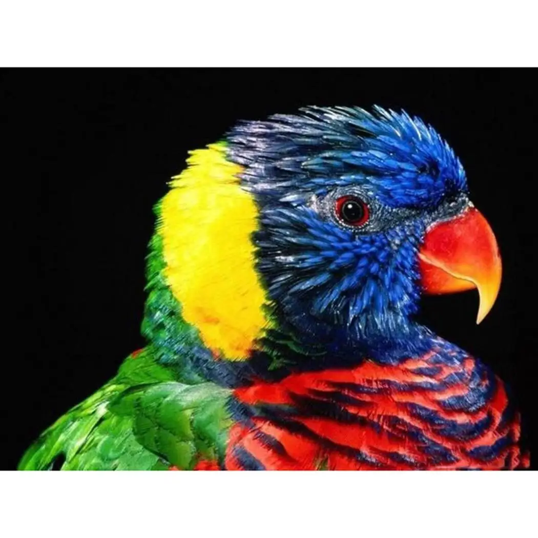 DIY многоцветная бескаркасная палочка дрель крестиком попугай принт