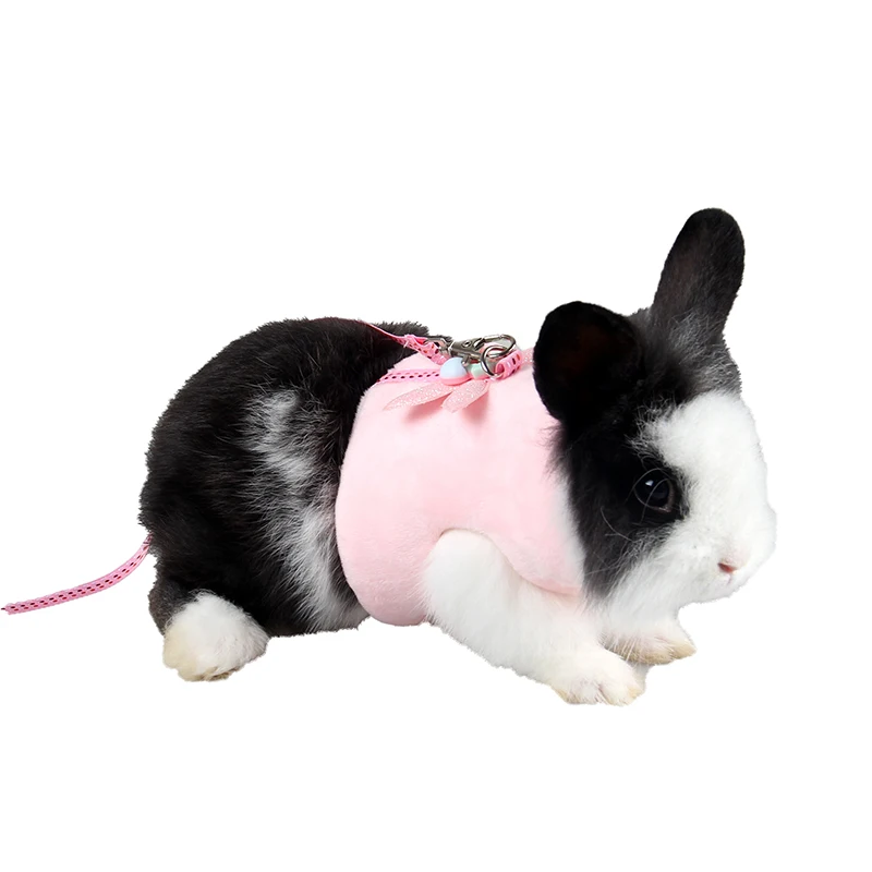 

Guinea Pig Totoro Hedgehog Rabbit Harnesses Travel Traction Rope Chest Straps