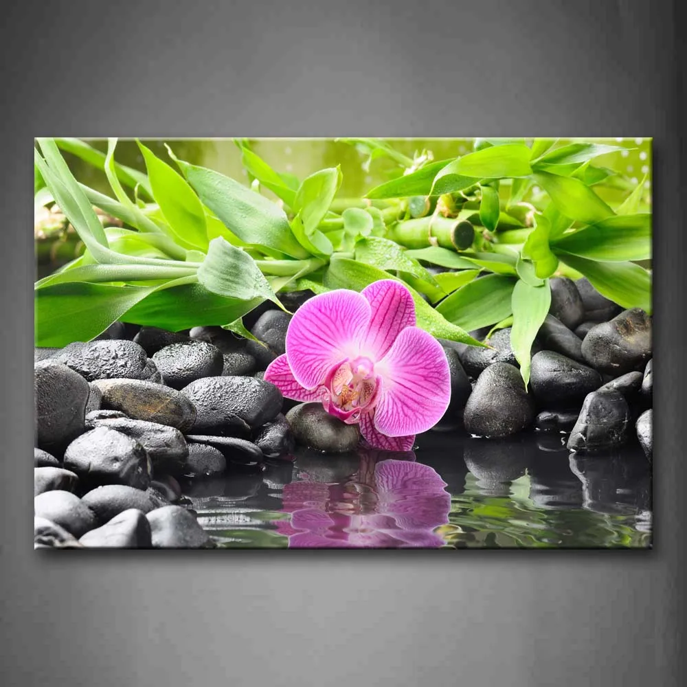 

Framed Wall Art Pictures Orchid Pebbles Canvas Print Flower Modern Posters With Wooden Frames For Home Living Room Decor