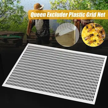 

For 10 Frame Beekeeping Beekeeper Bee Queen Excluder Trapping Grid Net Tool Kit Plastic Separated King Board Royal Board