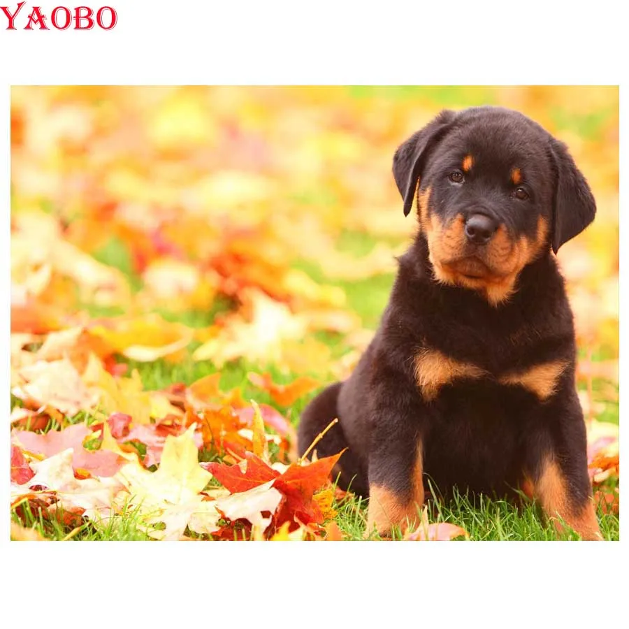 5d алмазная вышивка Ротвейлер живопись стразы 3d животное собака мозаика крестом