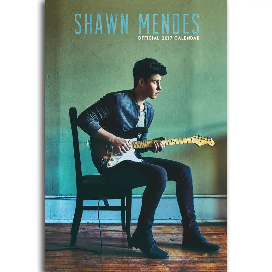 FX189 Shawn Mendes Famous Hot New Custom Music Singer Star Poster Art