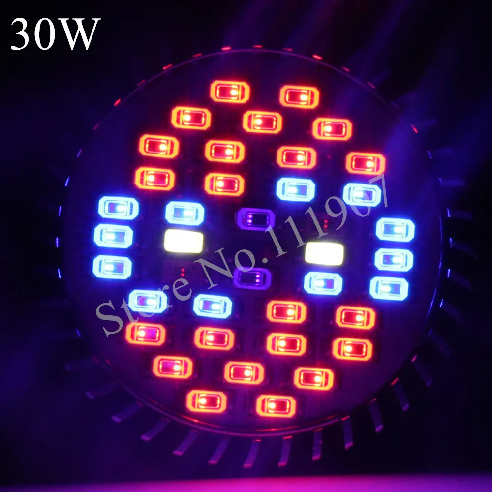 3030