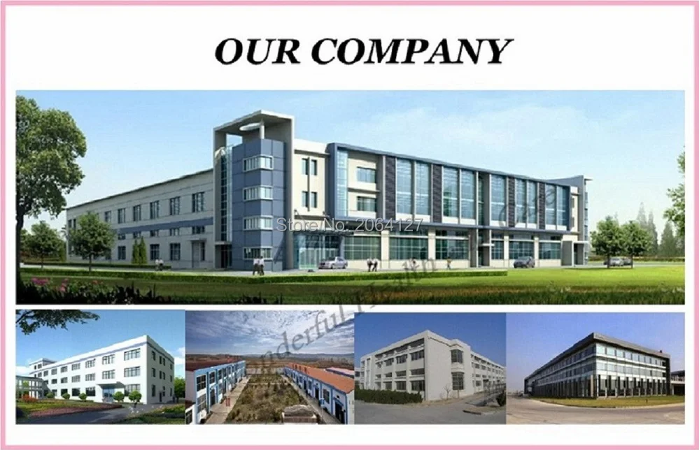 Our Company