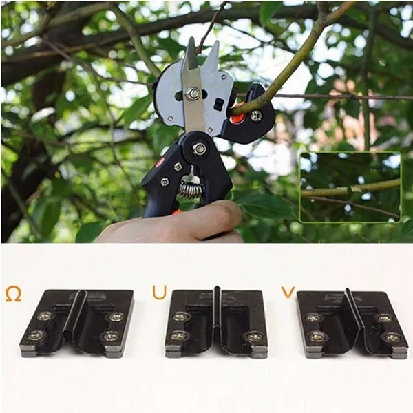 47c462db-a8b0-4c32-db98-b55dedcc490a