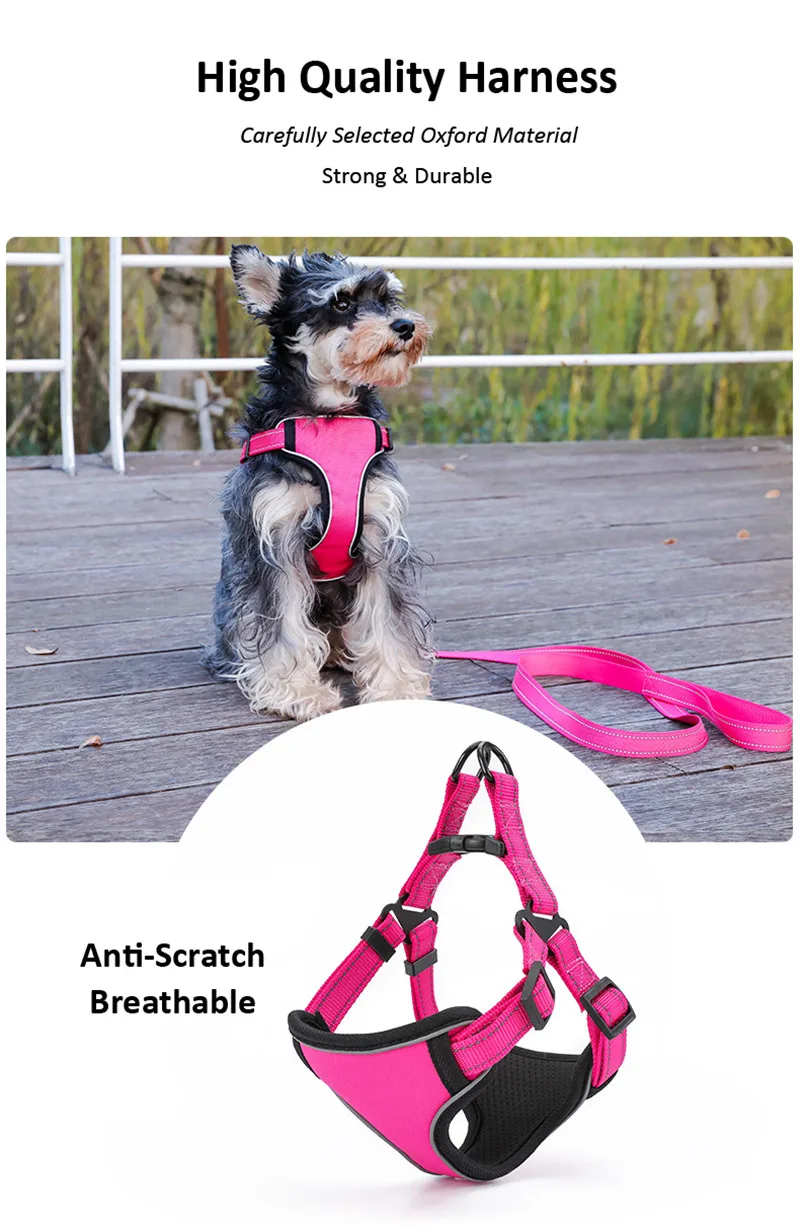 Dog Harness (36)