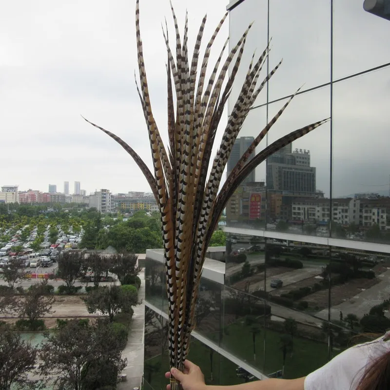

Wholesale 50Pcs/Lot 100-110CM Natural Rare Reeves Pheasant Tail Feathers High Quality Wedding Decorations Pheasant Feather plume