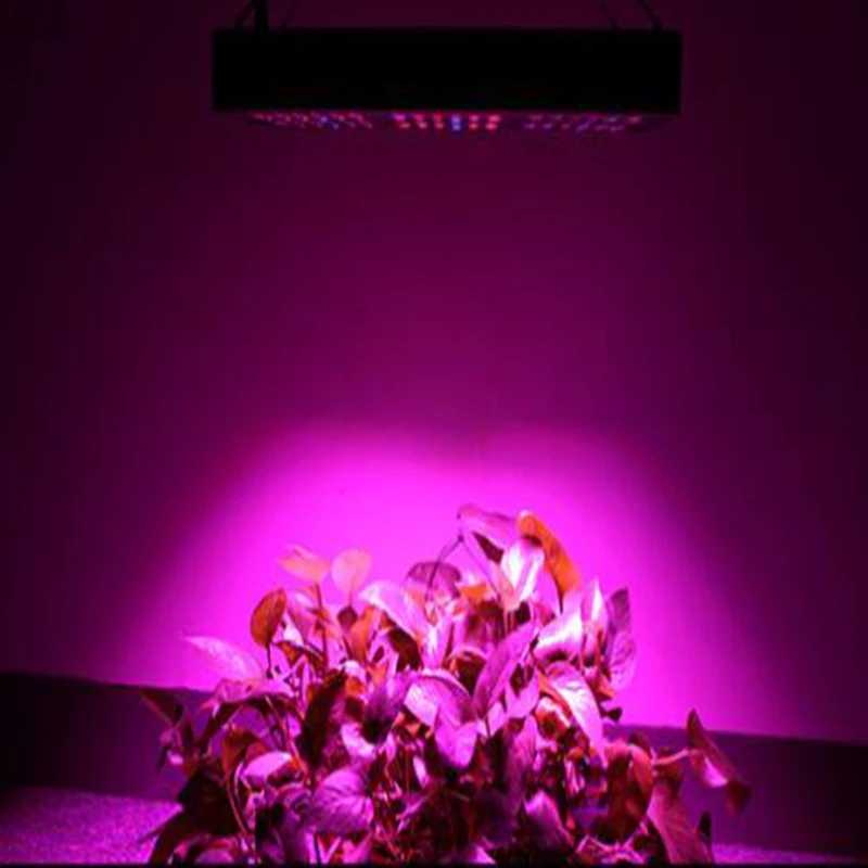 BEYLSION полный спектр 300 Вт 600 Вт Светодиодный светильник для выращивания растений с двумя ЧИПАМИ светодиодный светильник для выращивания растений для палаток теплиц Гидропоника
