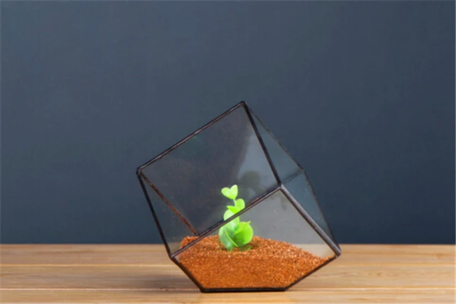 Plant Solder Terrarium 3.jpg