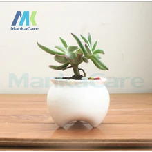 2 Pcs Tooth Shape Pastoral Style White Ceramic plant Pots Teeth type Flowerpot Flower Garden Pots Dental gift Free shipping