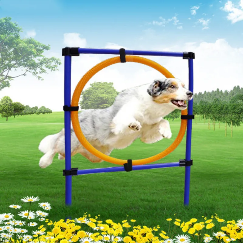 

Outdoors Pet Dogs Games Exercise Training Equipment Barrier Two Kinds Pet Training Toys Dogs Jump High Toys Pet Toy Sports 2017
