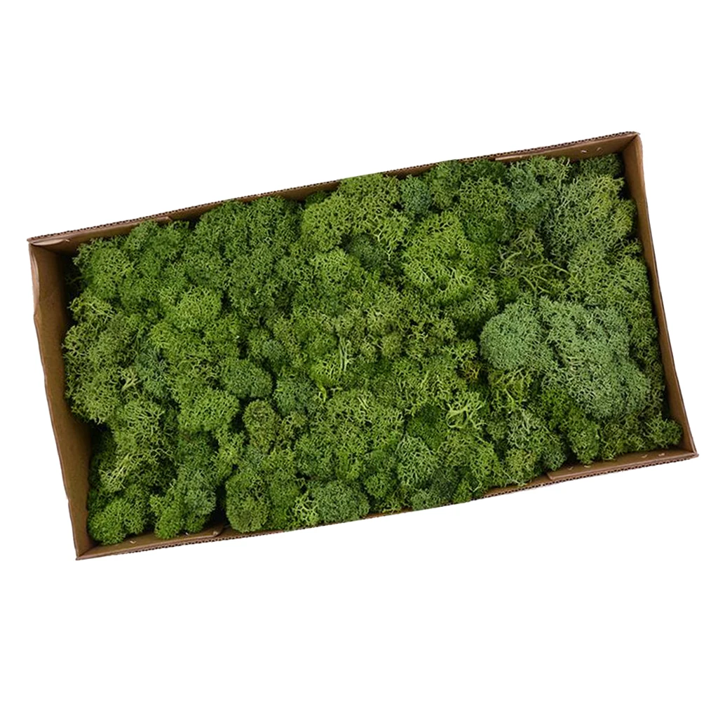 Colorful Artificial Moss Plant DIY Dried Reindeer Moss Floral Crafts Flowers for Plant Pot Garden Home Wedding Decor