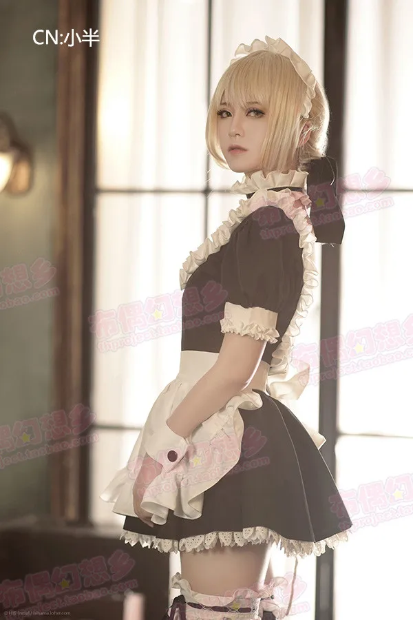 Fate Saber  coscosplay 260 (3)