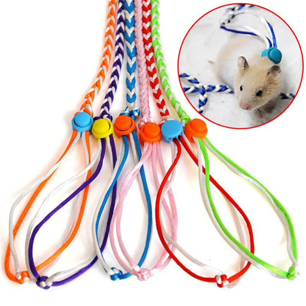 

Twist Model Traction Rope hamster leash for Training and outdoor small pet squirrel Guinea pig Chinchilla ferret rabbit collar