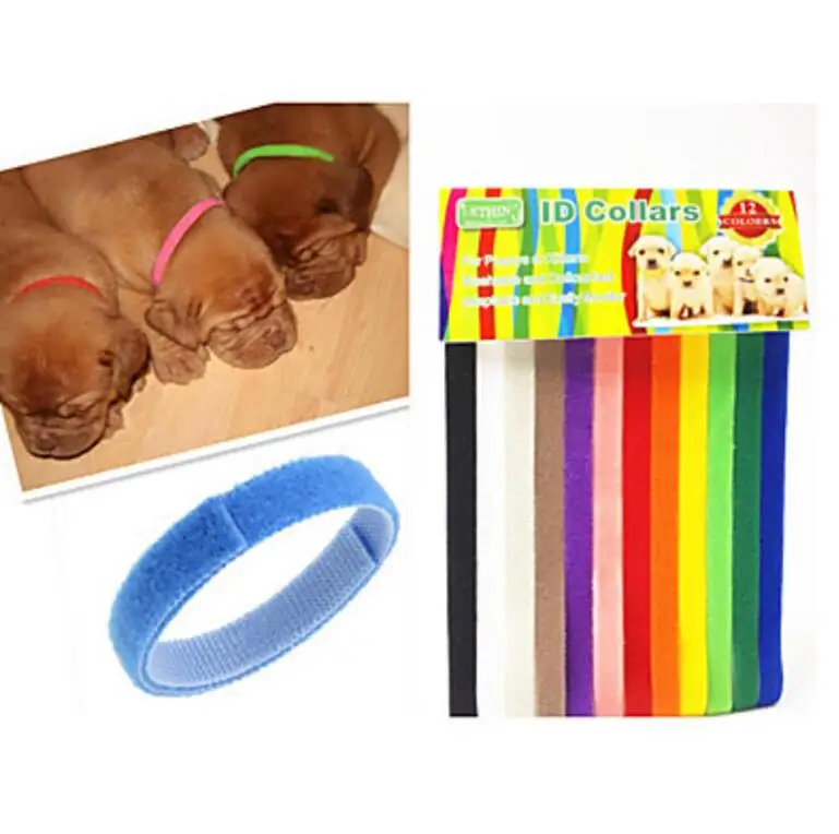 Collier Pour Animal De Compagnie Accessoire Pour Chaton Accessoire Pour Chien Et Chat 12 Couleurs Paquet Materiel Souple Et Ajustable Accessoire D Identification Pour Chien Et Chat Aliexpress