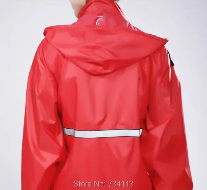 HTB1N5a5LXXXXXawXFXXq6xXFXXXa