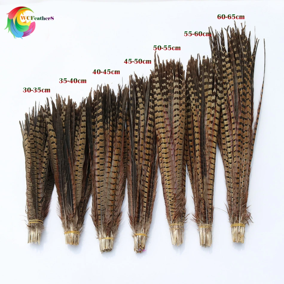 

Wholesale 30pcs/lot Elegant Natural Ring-necked pheasant feather Tail 12-26 inches headdress Carnival Decoration plume