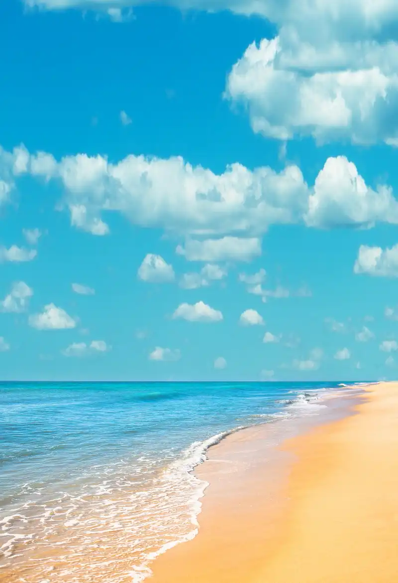 Get Strand dekorationen zum verkauf For iPhone