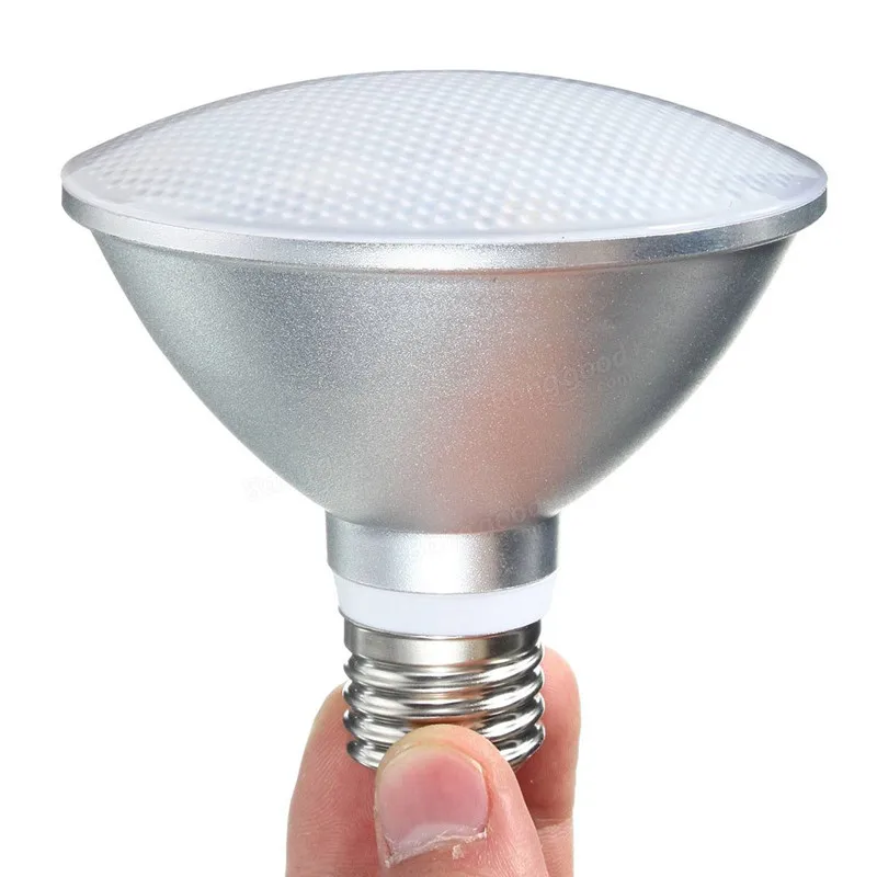 Par30 LED Bulb 2