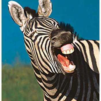 Trend Enterprises T-A67283 Poster Laugh Argus (1)