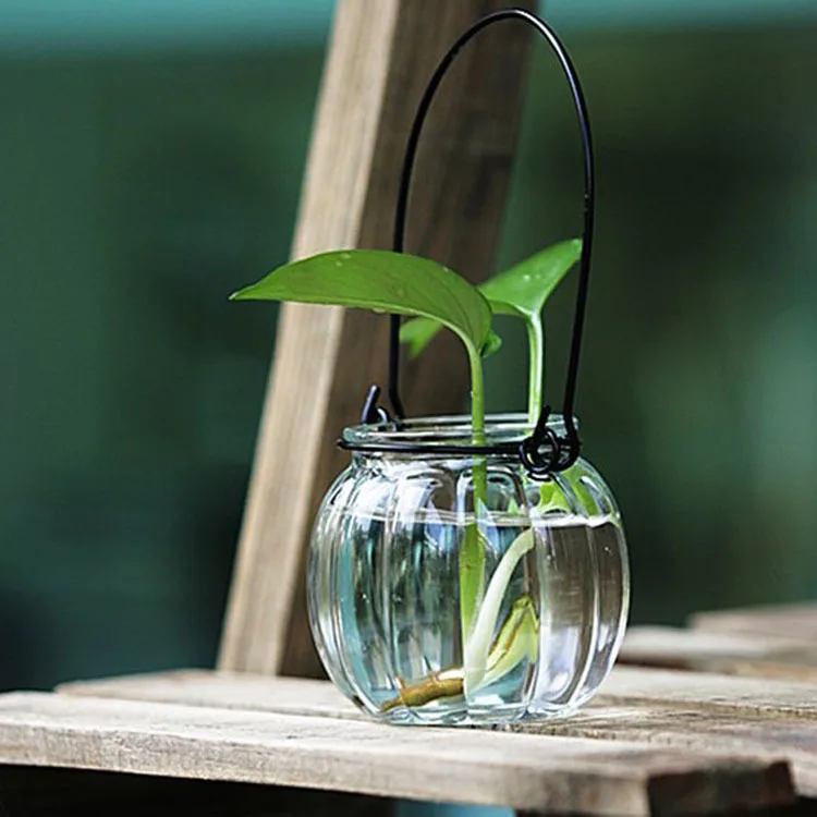 1PC Hanging Glass Vase Water Culture Flowers Green Plant Flowerpot Mini