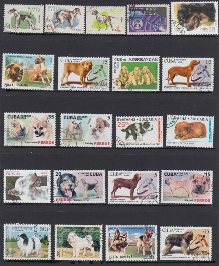 Hot 50Pcs Lot Dog Shepherd Dog font b Pet b font All Different From Many Countries