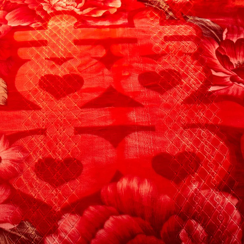 4649405321_1447205054