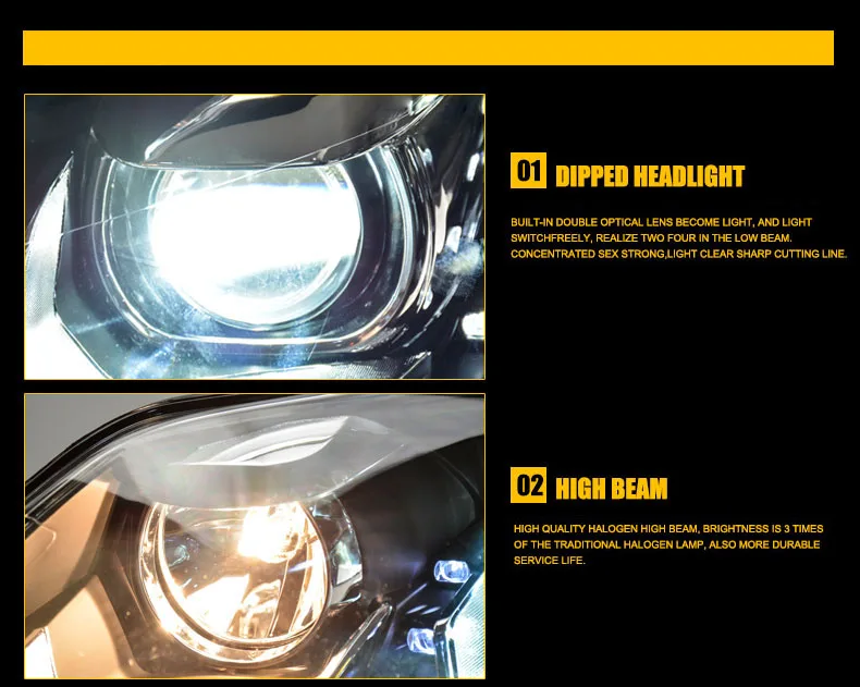 koleosdetail10