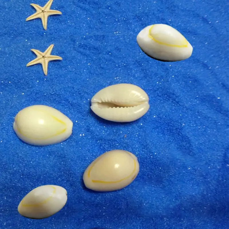 

50pcs Natural Sea Shell Loose Beads Home Decoration DIY Craft Conch Shell Pendant Jewelry Accessories(20-23 mm) /(18-20 mm)