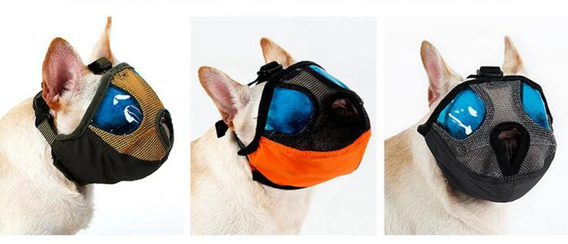 Dog Muzzle (6)
