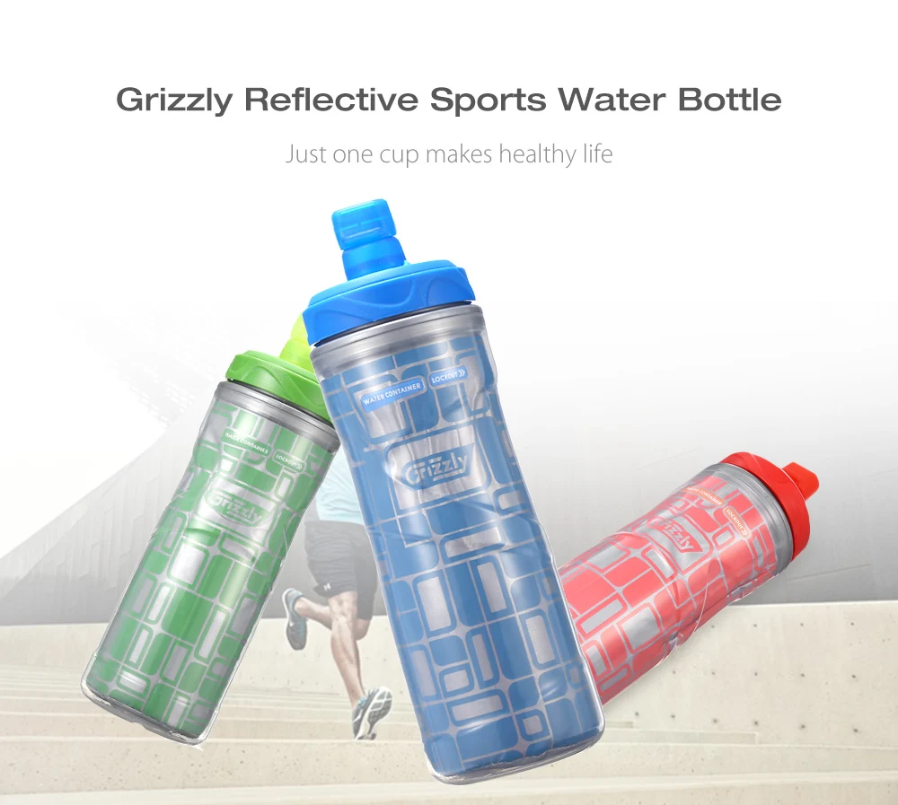 Grizzly ES8004 - CX 600ML BAP-free Reflective Sports Water Bottle