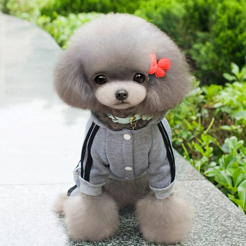 Lovoyager мягкая хлопковая одежда для собак синий красный розовый серый черный Комбинезоны для собак худи для щенка чихуахуа Одежда для собак XS/XXL
