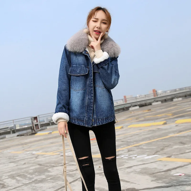 KK2585 (5)