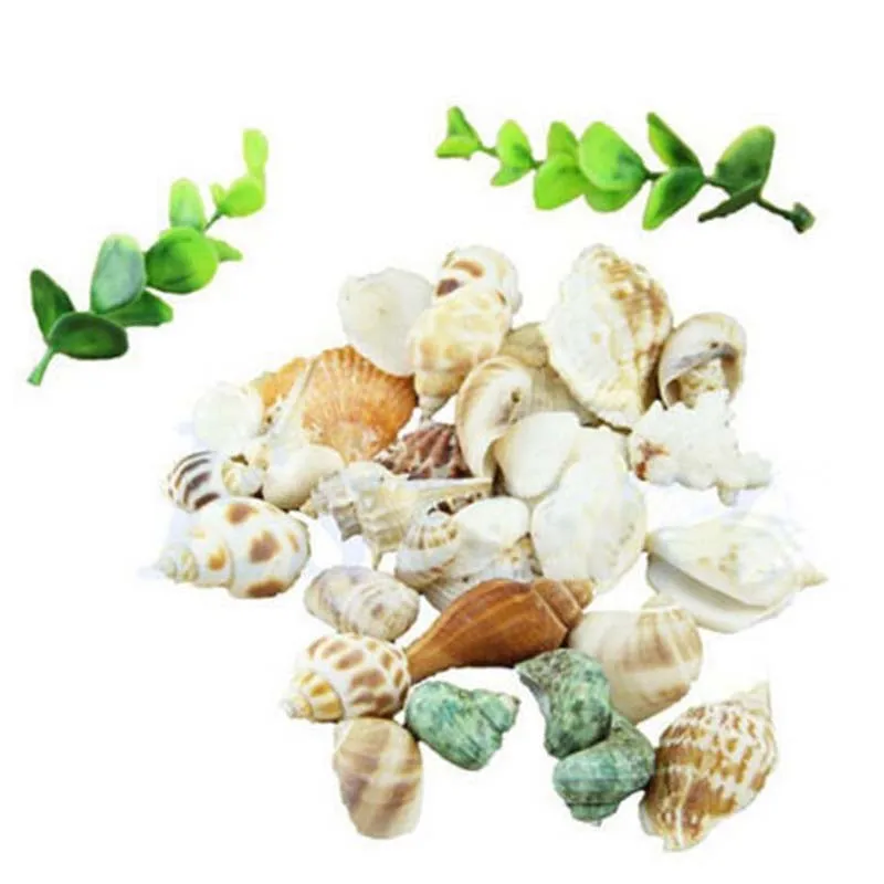 100g DIY Mixed Beach Nautical Shells Aquarium Fish Tank  Decoration Bulk Seashell