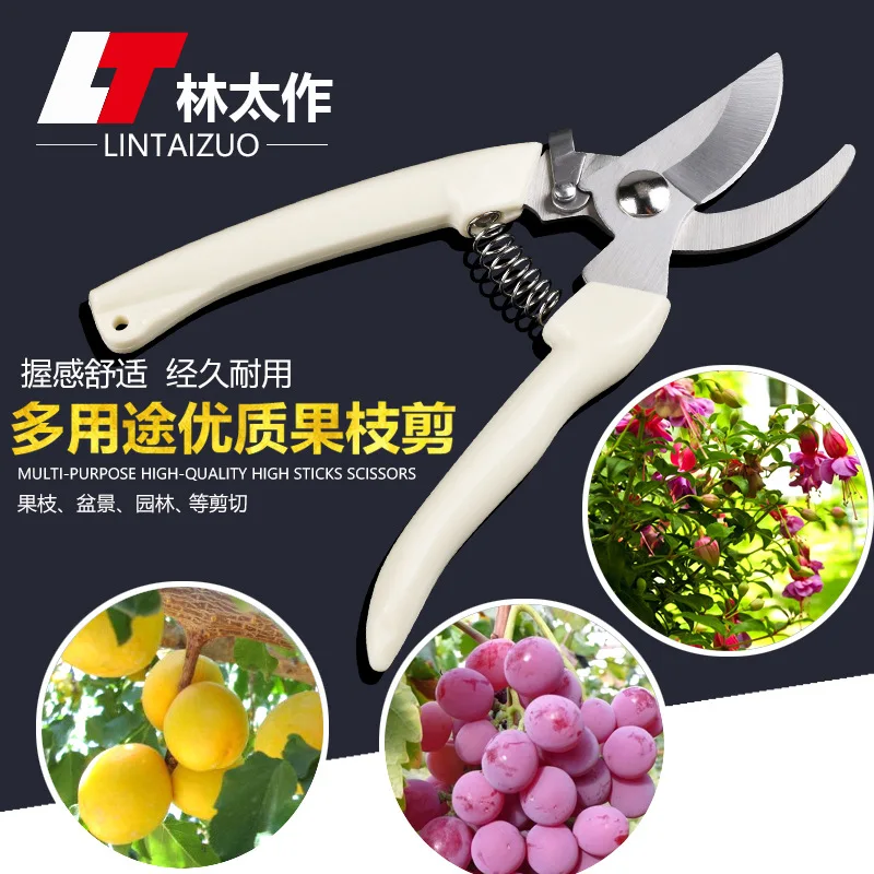 Wholesale stainless steel branch cut garden shears gardening scissors cut squid spot Yangjiang