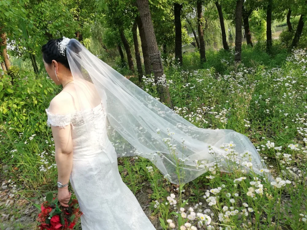 veils2