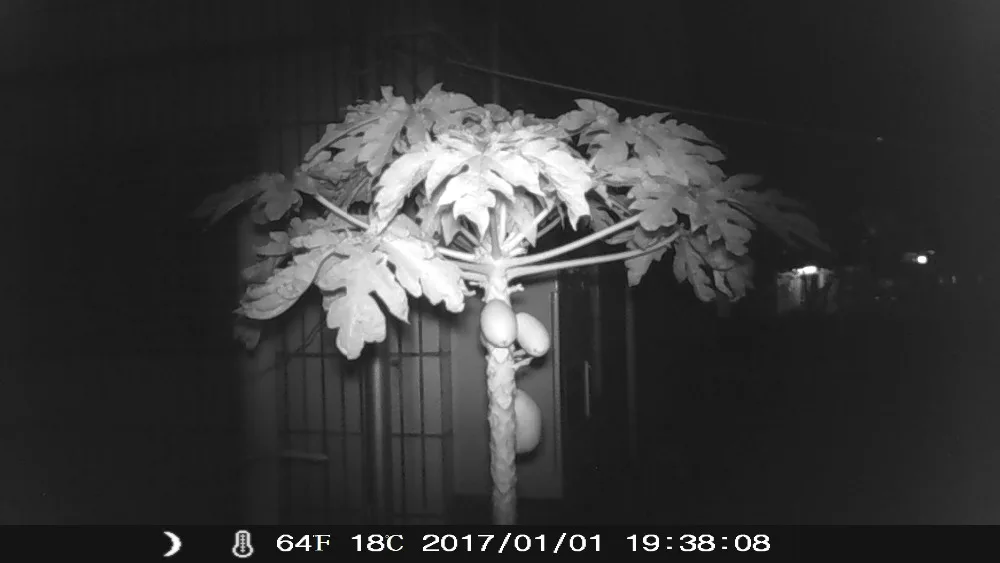 trail camera (2)