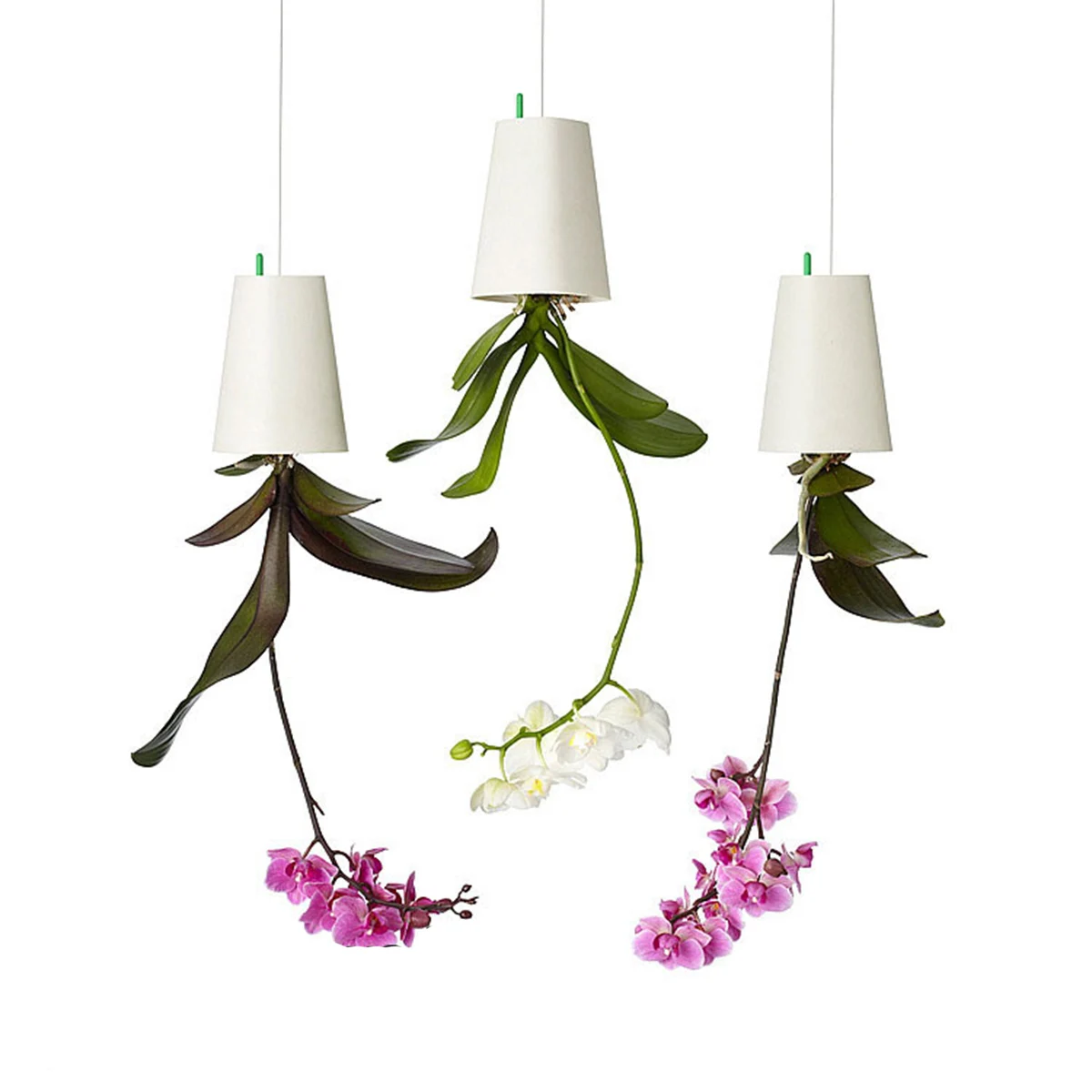 

4 Colors Upside-Down Planter Creative Inverted Planter Home Garden Reading Room Office Decoration Hanging Plant Pot Flower Pots
